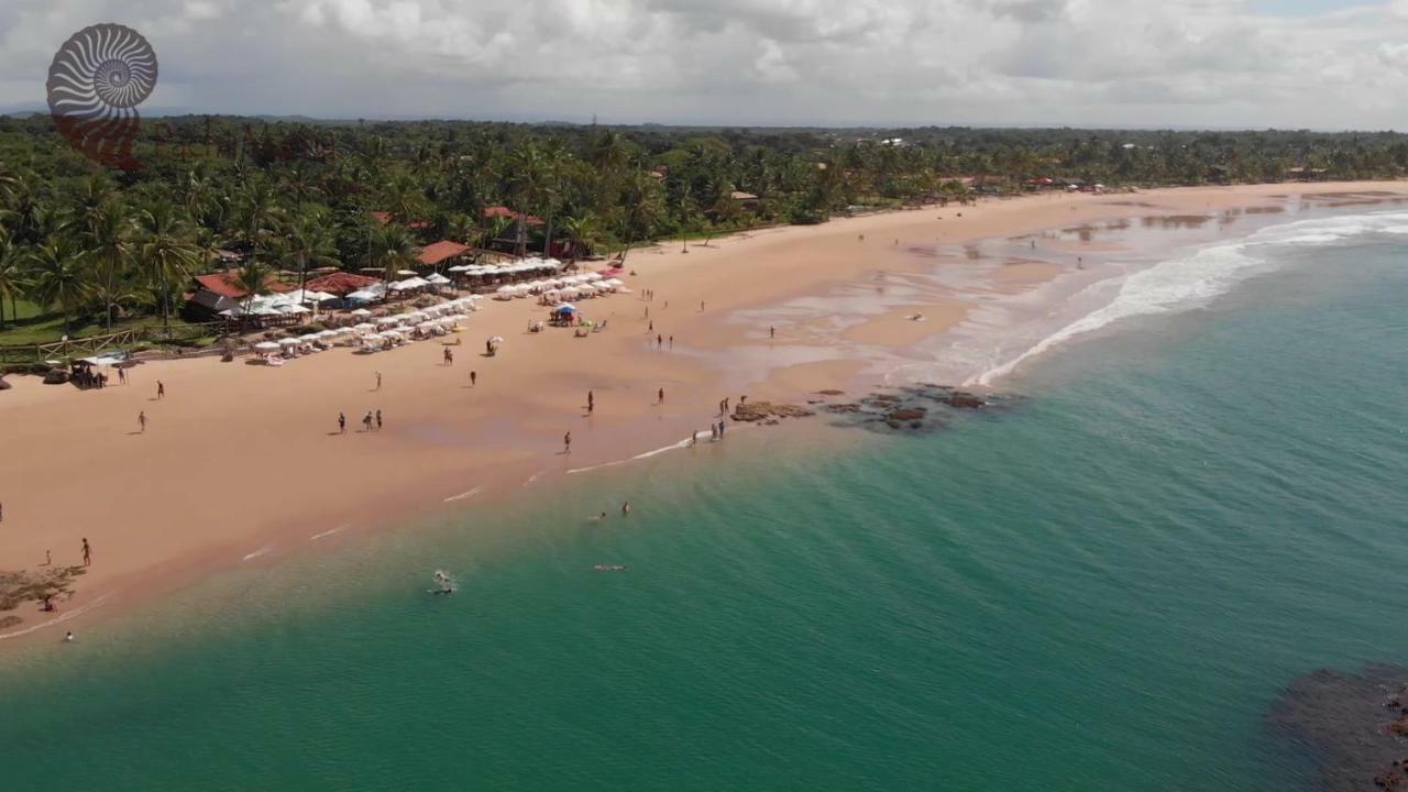 Pachamama Flats - Taipu De Fora Apartment Barra Grande  Ngoại thất bức ảnh